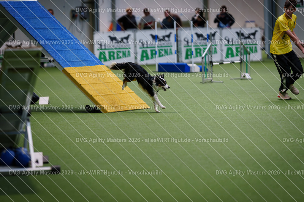 allesWIRTHgut_Tierfotografie-DVG_Agility_Masters_2026-13_51-7R500142 | Professionelle Tierfotografie in Mönchengladbach von Daniel Wirth (allesWIRTHgut). Liebevolle & natürliche Bilder von Hunden & Katzen für unvergessliche Erinnerungen.