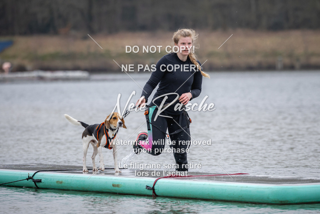 nelerasche_Hulsbeek_Sa1600-1700_107 | nelerasche