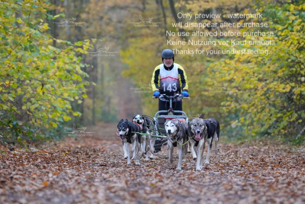 Rigs4bis8So-127 | stephaniefillaphotographie - Realisiert mit Pictrs.com