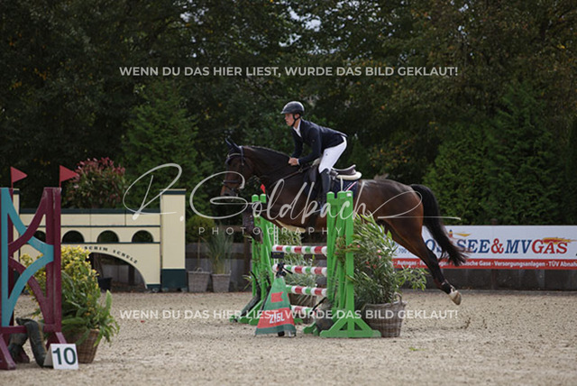 1J2A0872Mathies Rüder_ Kasa Kasa_ Kn574_ Havekost | Foto- und Videografie für alles rund ums Pferd. Hochwertige Bilder und Videos vom Spring- und Dressurreiten, Voltigieren & mehr. Jetzt aktuelle Veranstaltungen und Preise im Shop ansehen. - Realisiert mit Pictrs.com
