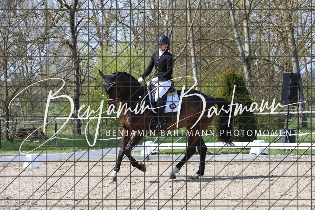 AZ2A5404 | Benjamin Bartmann Photomoments