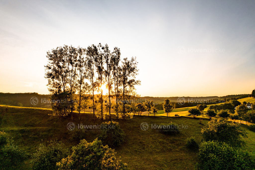 Baumgruppe bei Donzdorf im Sonnenuntergang | löwenblicke | shop
