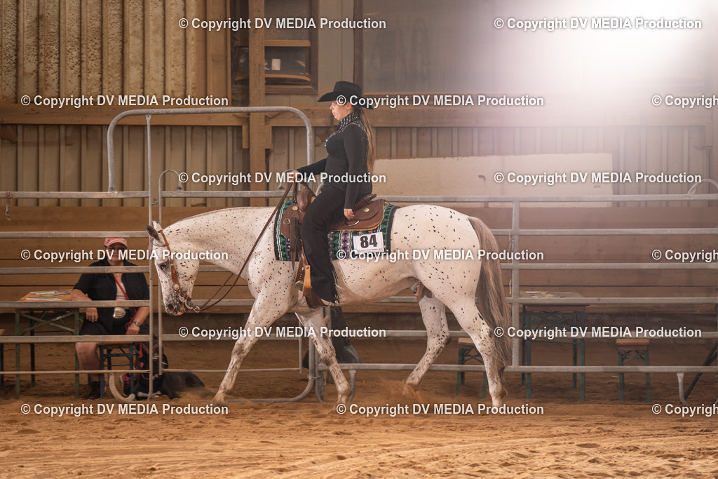 NID00227 | dv-media-shop - Realisiert mit Pictrs.com