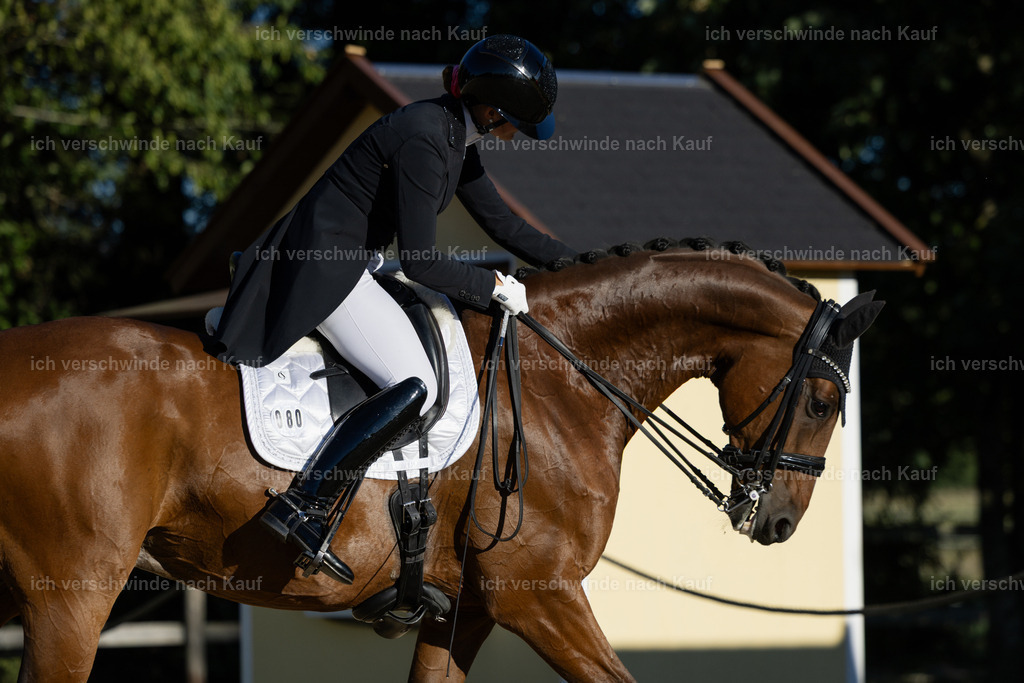 FHC2026_P09_80_19034 | Fichtenhof Classics 2026 – Grand Prix de Dressage - VOLTAIRE Design Preis, Reitanlage Fichtenhof, Sch ftlarn