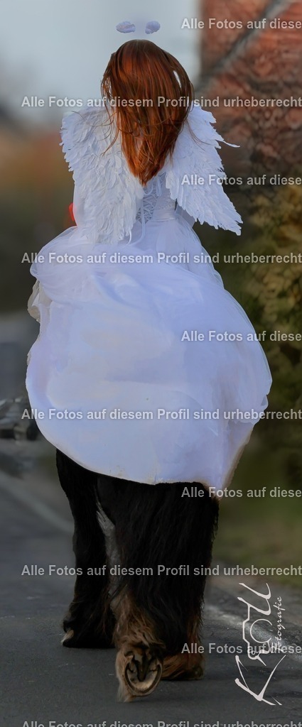 Photo_1735056333258 | krollfotografie - Realisiert mit Pictrs.com