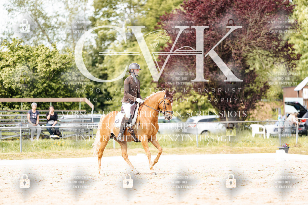 CK901415 | Turnierfotografie Pferdefotografie Trier Rheinland-Pfalz Pferdesport Reitsport Tierfotografie Sportfotografie Pferdevideo Pferdevideografie Equestrianvideography equestrianphotography  - Realisiert mit Pictrs.com