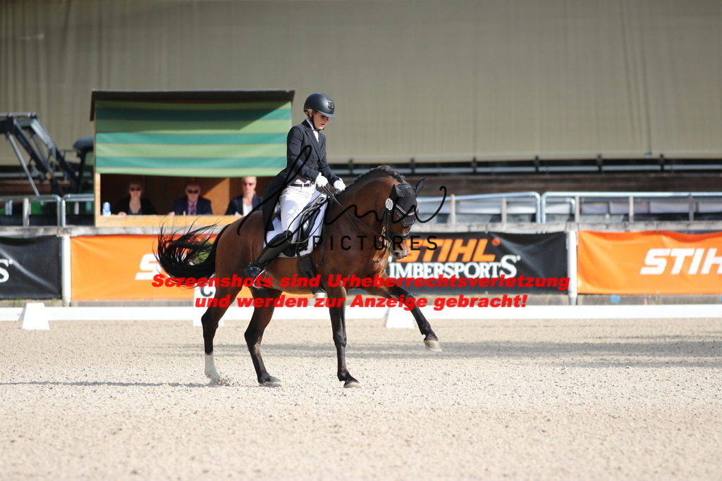 IMG_1051 | lmwpictures - Realisiert mit Pictrs.com