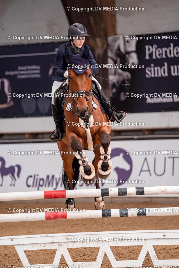 Kranichstein II Tag 3-351 | dv-media-shop - Realisiert mit Pictrs.com