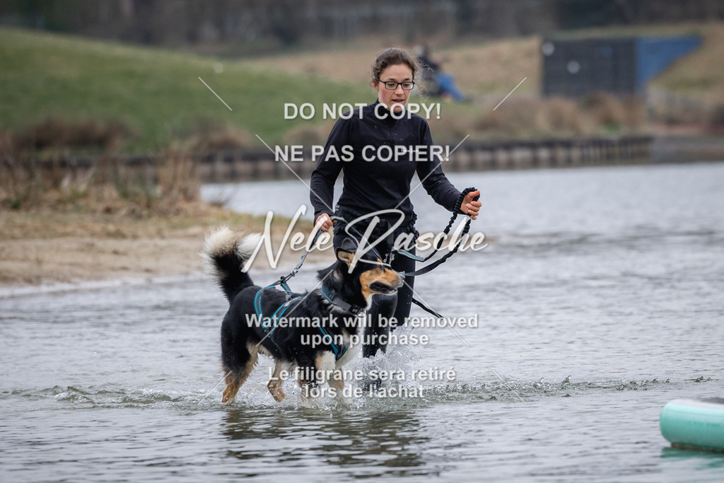 nelerasche_Hulsbeek_Sa1600-1700_132 | nelerasche