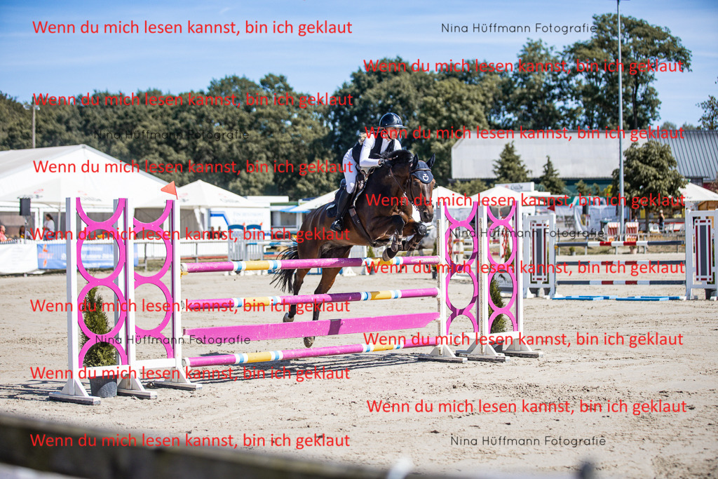 BK1A6799 | Turnierbilder Turnierfotos Nina Hüffmann Turnierfotografie Pferdefotografie Tierzeichnung Haustierzeichnung Pferdezeichnung Hundezeichnung Videograf  - Realisiert mit Pictrs.com