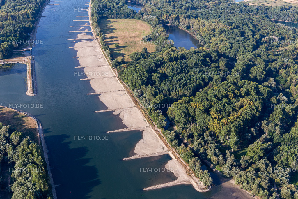 trockengefallene Buhnen und Sandbänke im Rhein wegen Niedrigwasser | Luftbild: trockengefallene Buhnen und Sandbänke im Rhein wegen Niedrigwasser im Ortsteil Maximiliansau in Wörth im Bundesland Rheinland-Pfalz in Deutschland. Foto: IMG_133765.jpg vom 14.08.2022 durch ©2025 Werner Riehm fly-foto.de/copyright - Realisiert mit Pictrs.com
