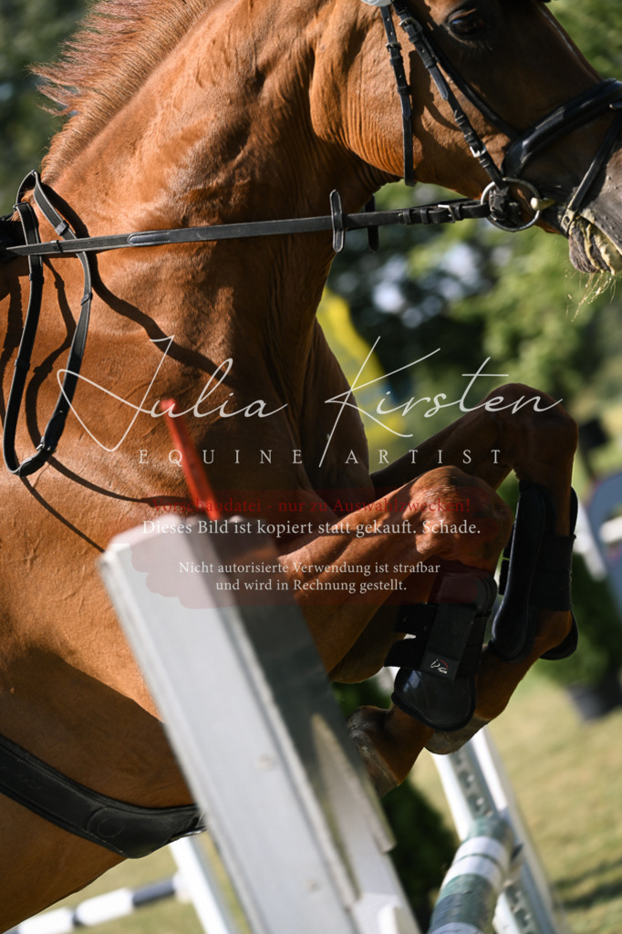 DSC_1311 | Pferde- und Turnierfotografie in Westsachsen. Pferdeportraits, Auftragszeichnungen und intuitive Kunst.