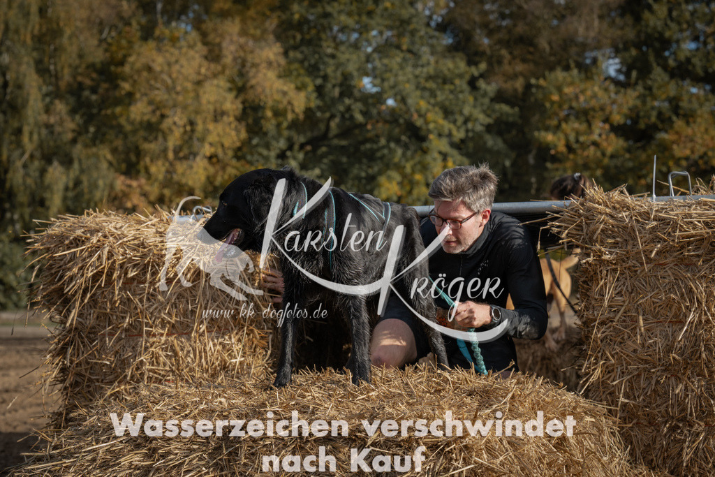 1032_ZZ98644 | kk-dogfotos