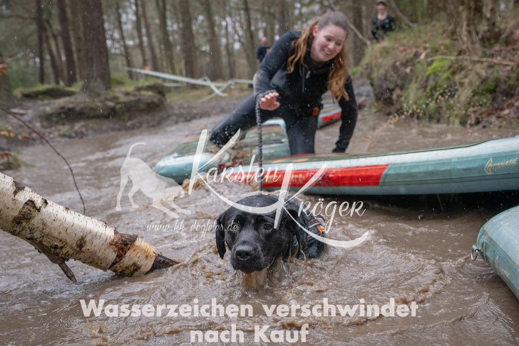 1151_ZZ94933-Bearbeitet | kk-dogfotos