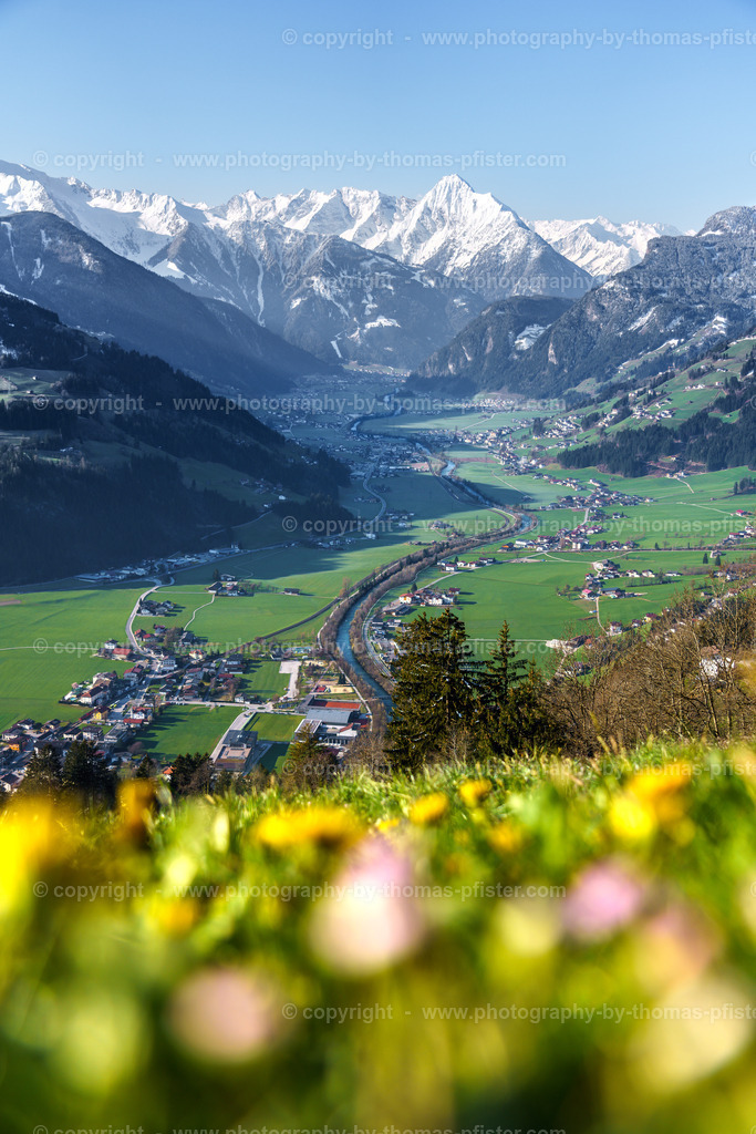 Zellberg Frühling | PHOTOGRAPHY BY THOMAS PFISTER