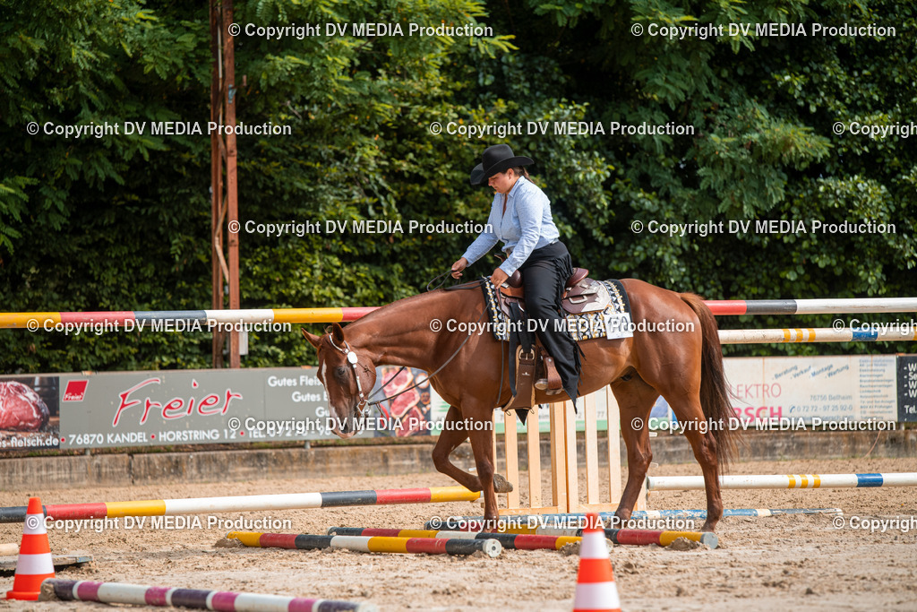 ZS3_9331 | dv-media-shop - Realisiert mit Pictrs.com