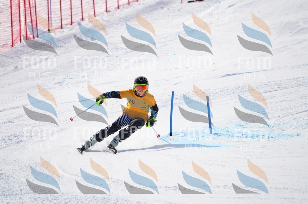 C8392 | holidayphoto