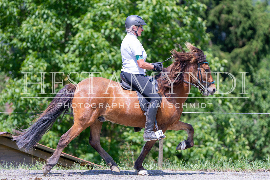 KAI04244 | Ihr sucht einen Fotografen für eure nächste OSI? Ich begleite auch euer Turnier für Islandpferde fotografisch.  - Realisiert mit Pictrs.com