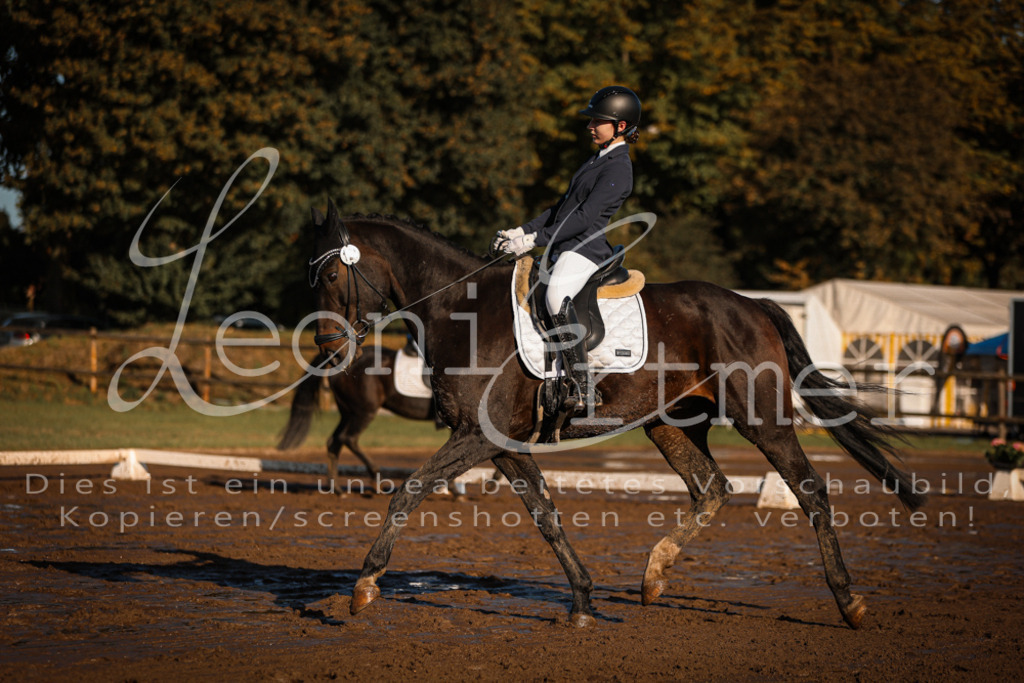 13.SoDrA100144 | Leoni Ertmer Photography - Realisiert mit Pictrs.com