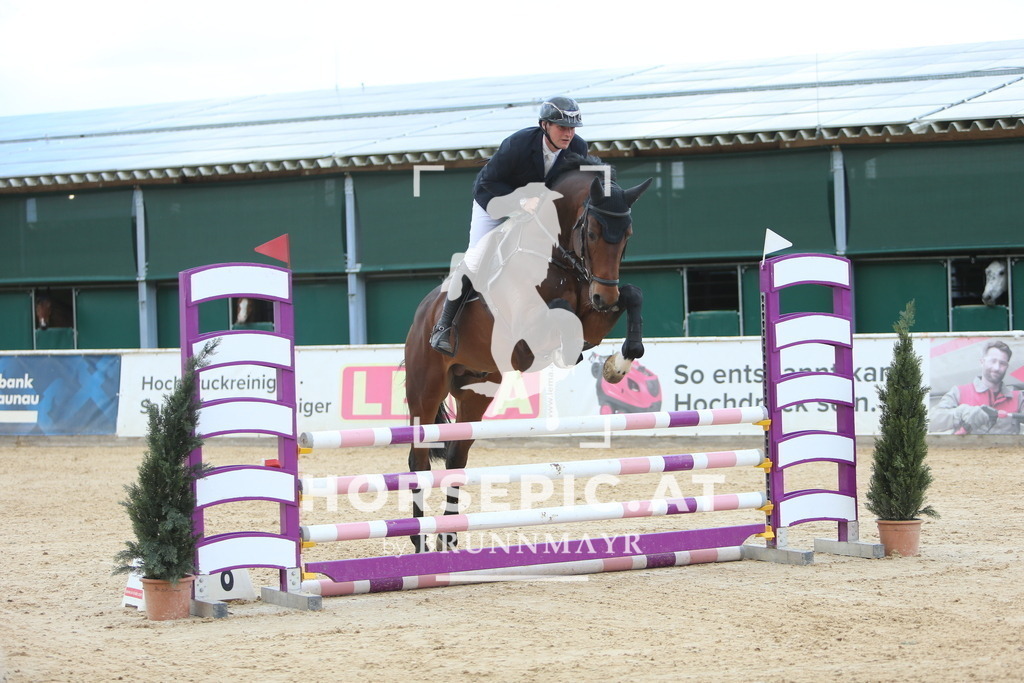 DL2Q9317 | Willkommen bei Brunnmayr - Design & Fotografie – Ihrem Spezialisten für Reitturniere und Pferdeveranstaltungen in Oberösterreich, Salzburg und Bayern! Seit über 17 Jahren sind wir leidenschaftlich dabei.