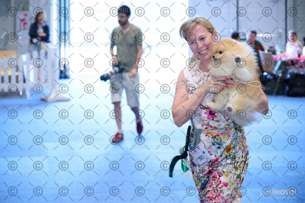 202406_ÖKV-IHA-Tulln24_NZ9_8691 | proPHOTO - Realisiert mit Pictrs.com