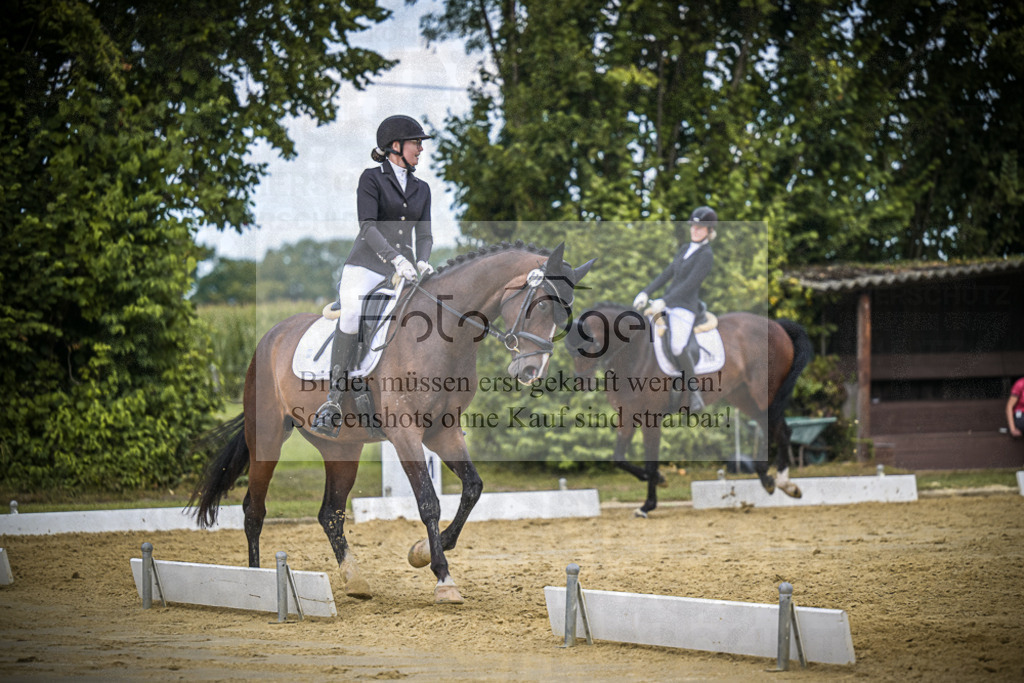 DOS_3570 | Entdecke hochwertige Reitturnierfotos von Foto Oger. Professionell, emotional und authentisch – jetzt Lieblingsmomente im Shop bestellen.Deutschlandweite Turnierfotografie. - Realisiert mit Pictrs.com