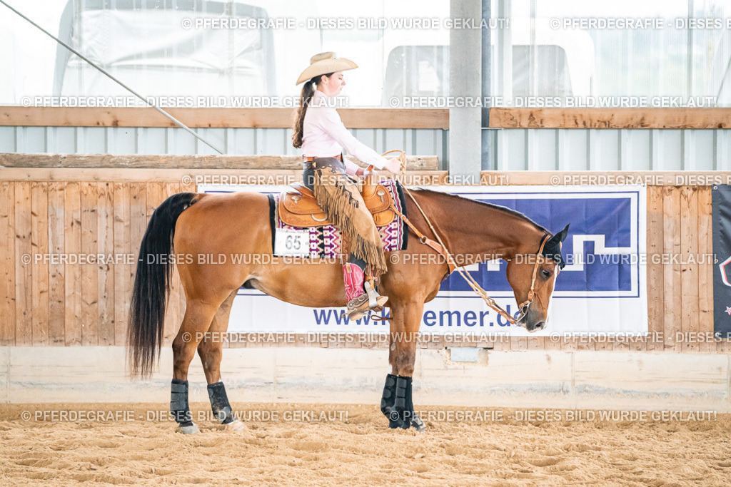 DSC00700 | Pferdegrafie