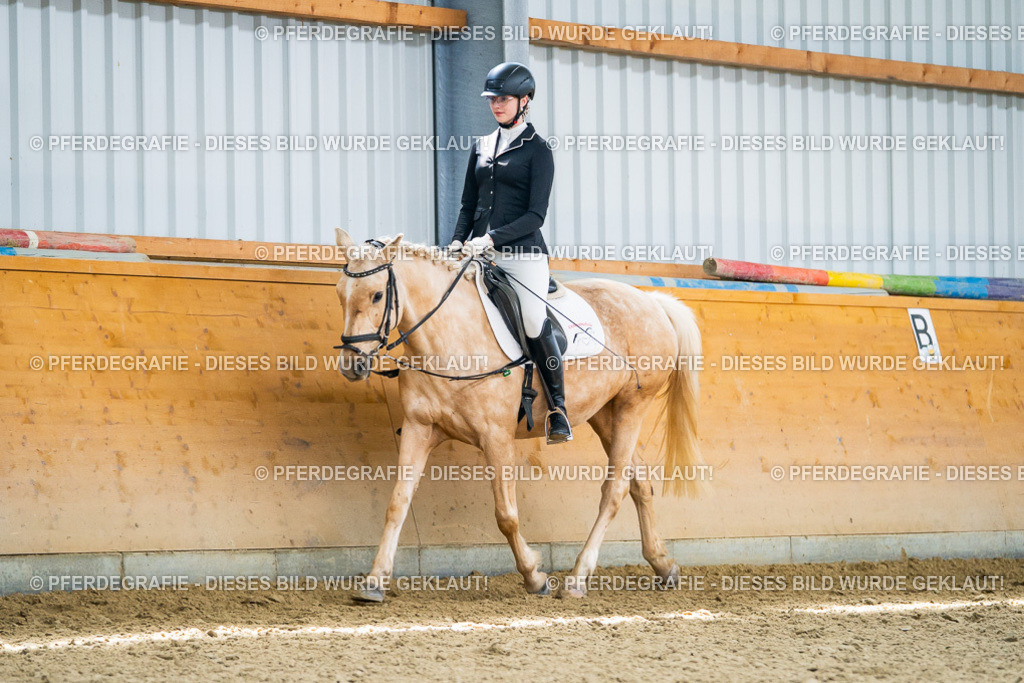 DSC04372 | Pferdegrafie