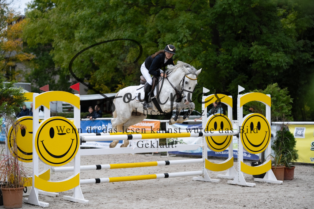 A7V08656 | Pferdefotograf