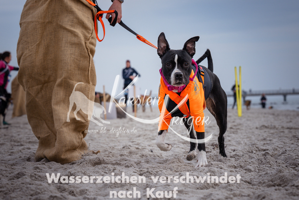 1142_ZZ90274 | kk-dogfotos