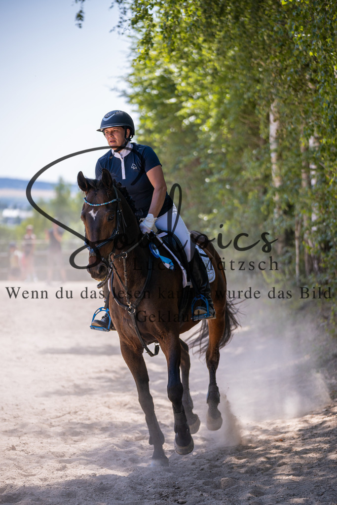 A7V08607 | Pferdefotograf