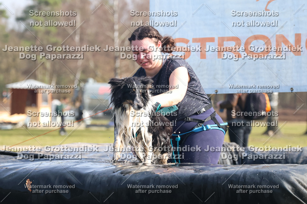 Dog Paparazzi - Strongdog North Mrz26-1622 | Dog Paparazzi Jeanette Grottendiek Fotografie & Videografie - Realisiert mit Pictrs.com