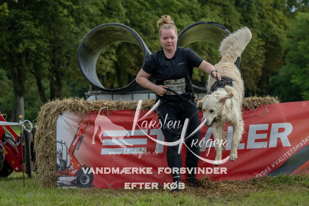 0950_ZZ91321 | kk-dogfotos