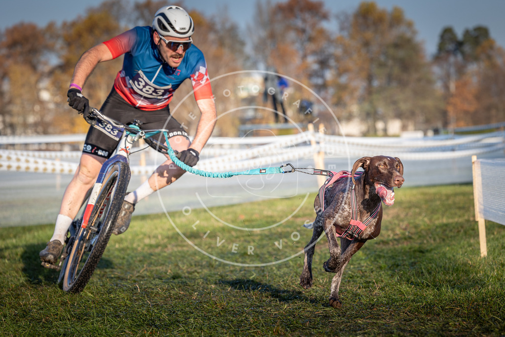 CaniXpix_0L8A3788 | Hundefotografie, Tierfotograf, Pfotenfotografie, Fotoshooting Hund, Hunde Portrait, Hundesport, Hundeportraits, Heideshooting, Hunde, Sportfotograf, Hundefotograf, Turnierhundsport, THS,  - Realisiert mit Pictrs.com