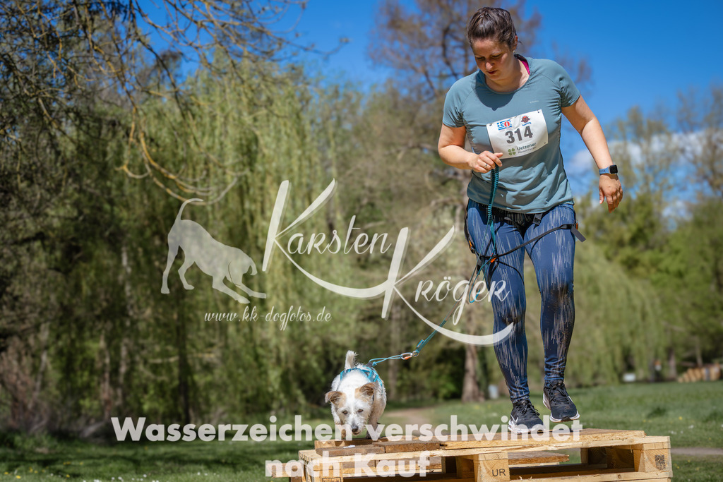 1303_ZZ95244 | kk-dogfotos