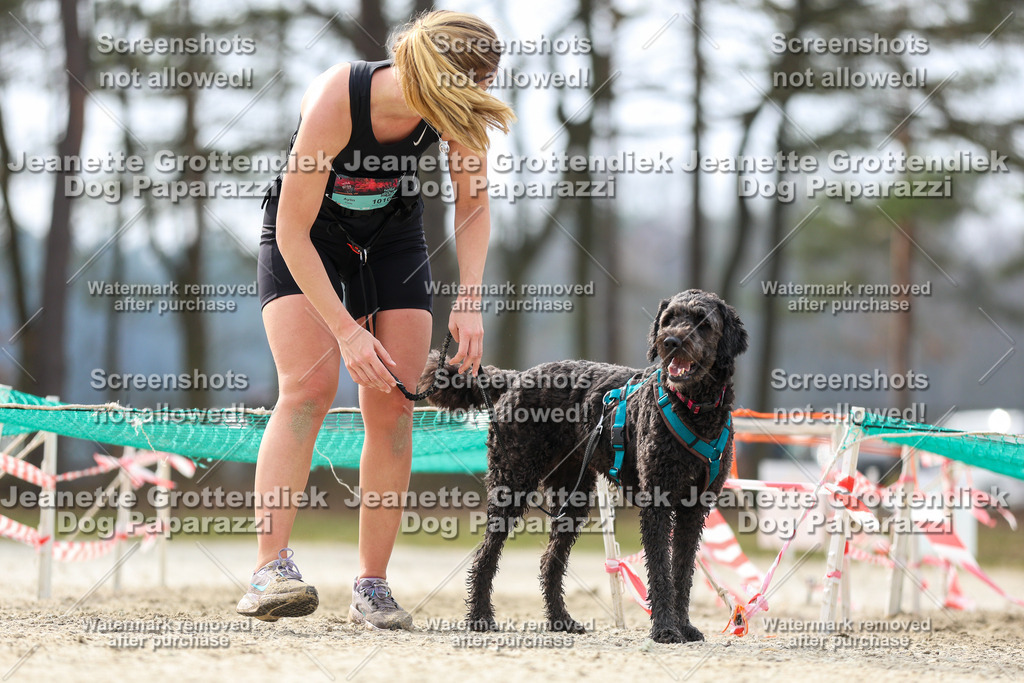 Dog Paparazzi - Strongdog North Mrz26-5460 | Dog Paparazzi Jeanette Grottendiek Fotografie & Videografie - Realisiert mit Pictrs.com