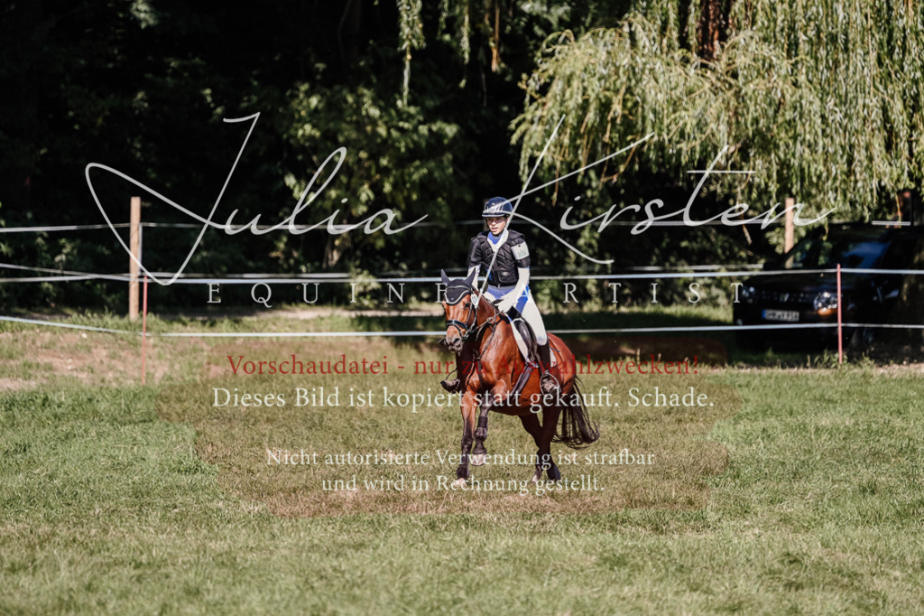 DSC_2831 | Pferde- und Turnierfotografie in Westsachsen. Pferdeportraits, Auftragszeichnungen und intuitive Kunst.