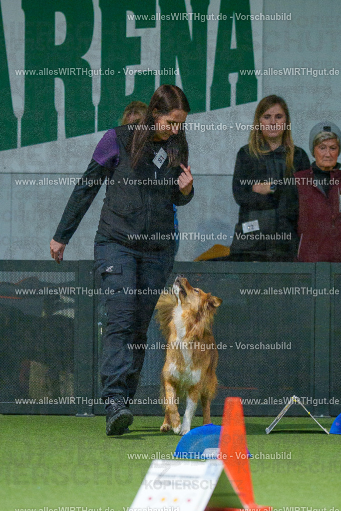 7R507715 | Professionelle Tierfotografie in Mönchengladbach von Daniel Wirth (allesWIRTHgut). Liebevolle & natürliche Bilder von Hunden & Katzen für unvergessliche Erinnerungen.