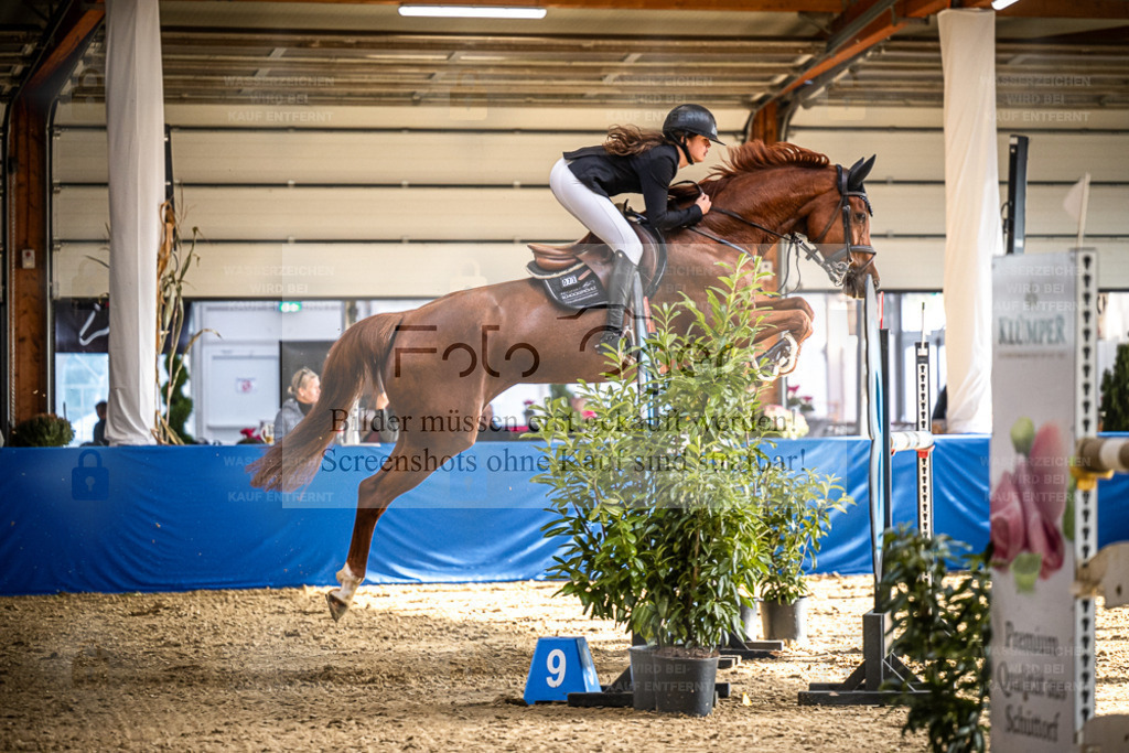 DOS_2501 | Entdecke hochwertige Reitturnierfotos von Foto Oger. Professionell, emotional und authentisch – jetzt Lieblingsmomente im Shop bestellen. - Realisiert mit Pictrs.com