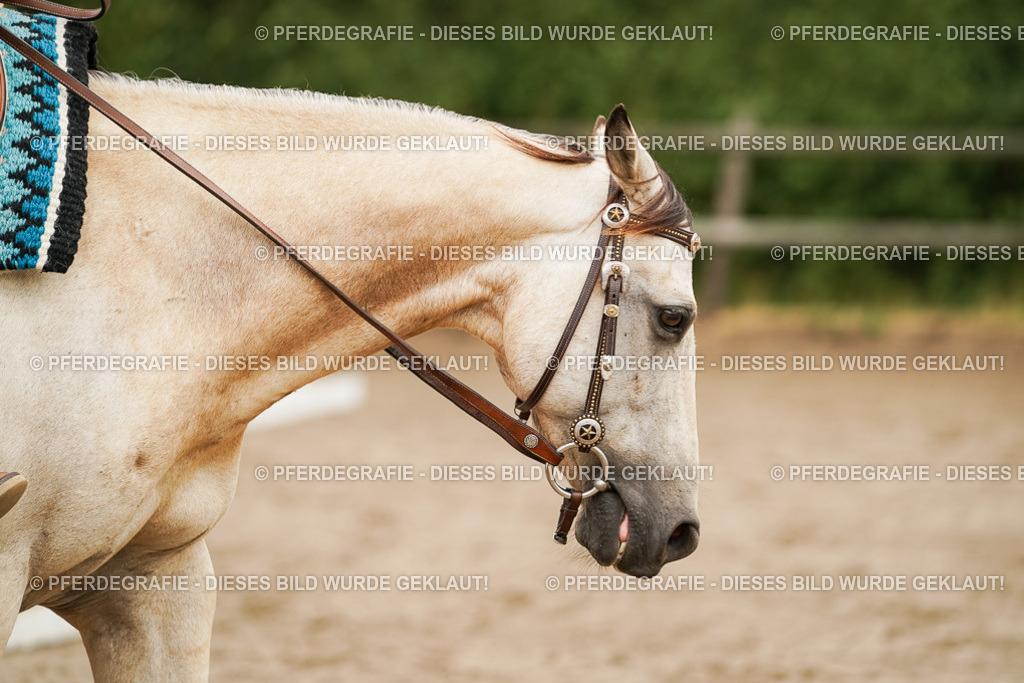 DSC08373 | Pferdegrafie