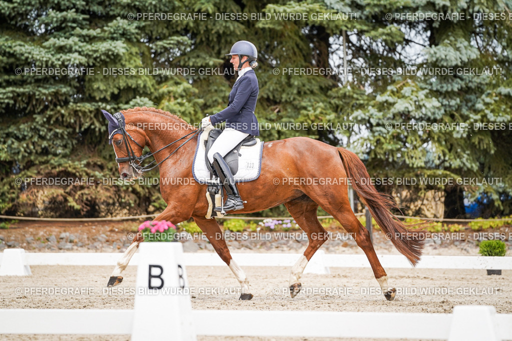 DSC05196 | Pferdegrafie