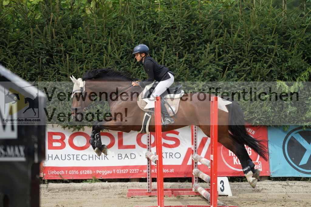 DSC03346 | equestrian-live-com