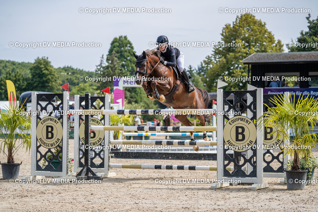 Hessische Tag 3-561 | dv-media-shop - Realisiert mit Pictrs.com