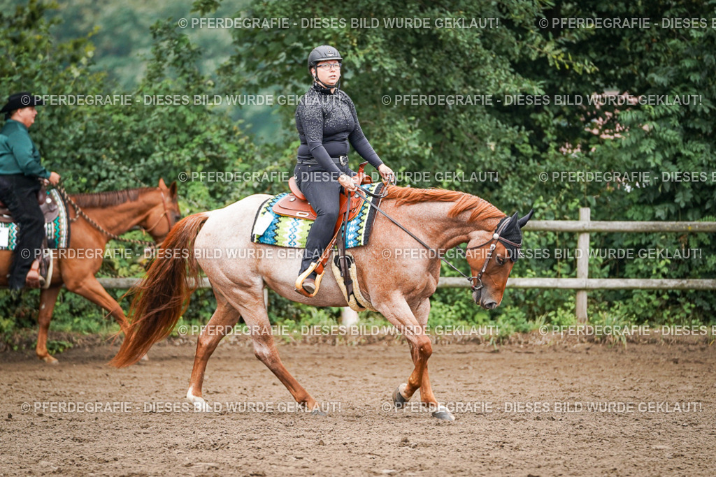 DSC01790 | Pferdegrafie