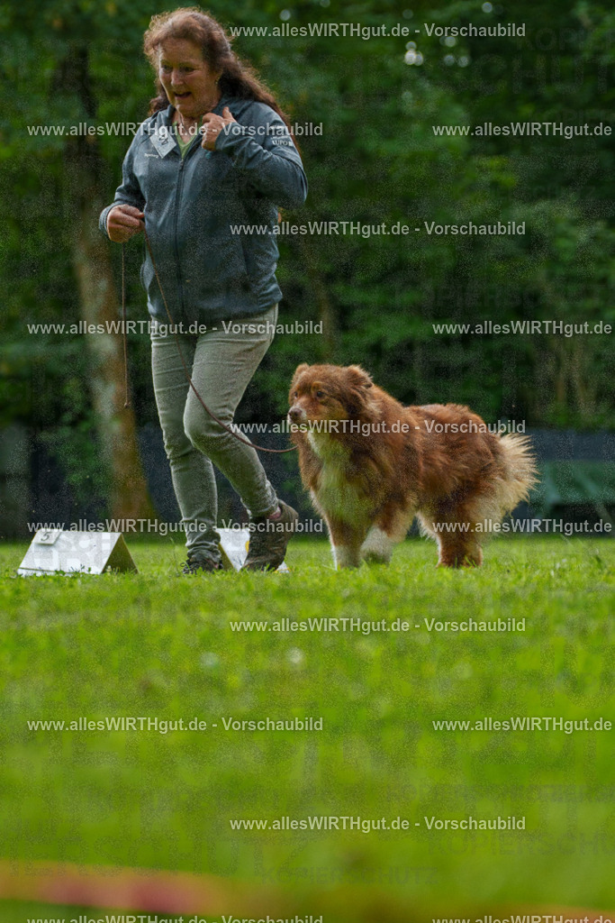 @allesWIRTHgut_Tierfotografie - www.allesWIRTHgut.de - 7R505118 | Professionelle Tierfotografie in Mönchengladbach von Daniel Wirth (allesWIRTHgut). Liebevolle & natürliche Bilder von Hunden & Katzen für unvergessliche Erinnerungen.