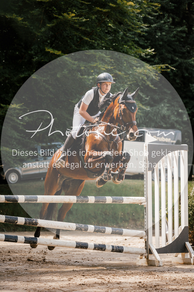 3I6A7991 | Stimmungsvolle Portraits und Reitsportfotografie im Ruhrgebiet und im Münsterland.

Pferdefotografie, Hundefotografie, Tierfotografie, Reportagen, Portraits von Tier und Mensch, Turnierfotografie in Bochum, Recklinghausen, Marl, Haltern am See, Dülmen.. - Realisiert mit Pictrs.com