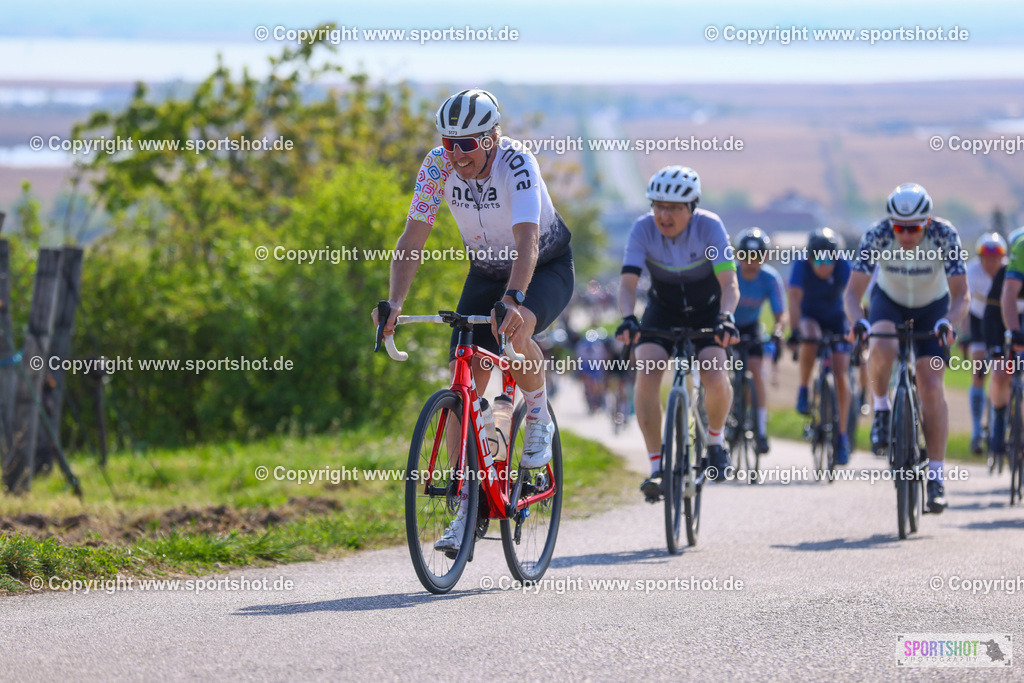 TRA_0949 | Neusiedlersee Radmarathon 2026@sportshot_your_pictrs #yourpictures#roadtowm2029 #nrm #neusiedlerseeradmarathon #neusiedlersee #neusiedlerseetourismus #burgenland #mörbisch #nrm26 #burgenlandtourismus #voglundco #poweredbyburgenlandtourismus #radsport #rad #marathon #ucigranfondo #visitburgenland #ucigranfondoworldseries