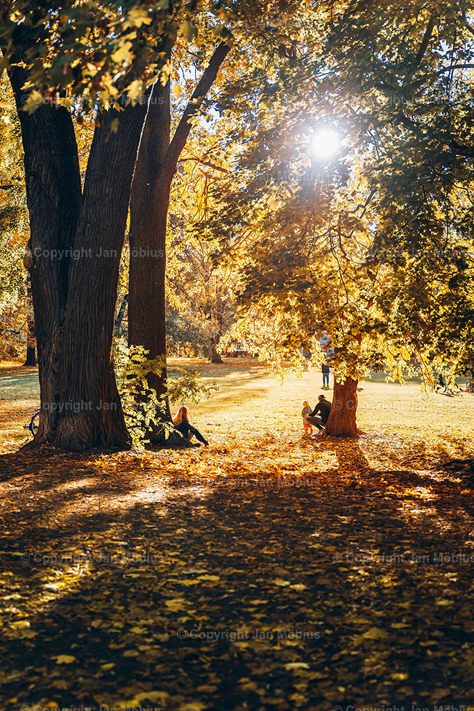 Clara Park | Der Clara-Zetkin-Park in Leipzig ist ein beliebter Ort für Natur, Sport und Erholung – perfekt für Spaziergänge, Jogging und entspannte Stunden im Grünen. - Realisiert mit Pictrs.com