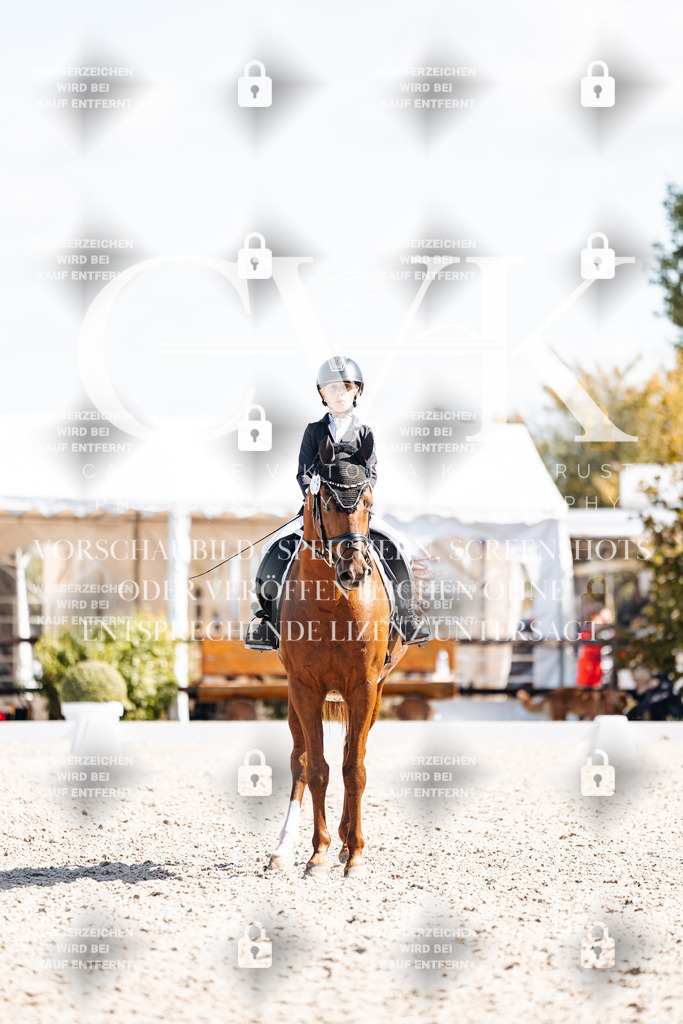 CK903031 | Turnierfotografie Pferdefotografie Trier Rheinland-Pfalz Pferdesport Reitsport Tierfotografie Sportfotografie Pferdevideo Pferdevideografie Equestrianvideography equestrianphotography  - Realisiert mit Pictrs.com