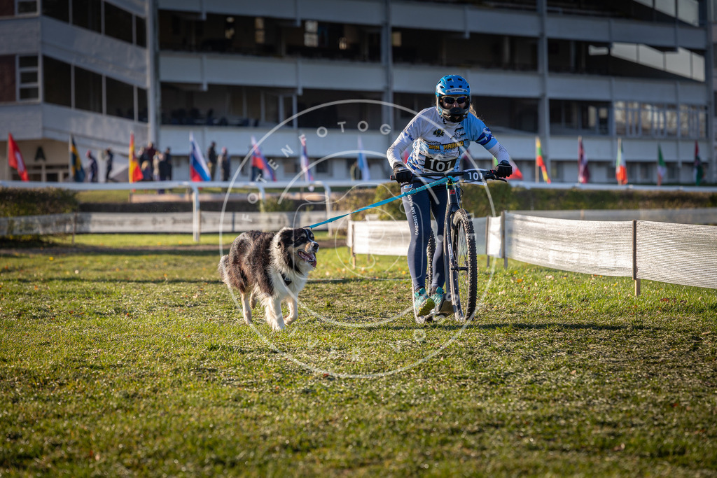 CaniXpix_0L8A4030 | Hundefotografie, Tierfotograf, Pfotenfotografie, Fotoshooting Hund, Hunde Portrait, Hundesport, Hundeportraits, Heideshooting, Hunde, Sportfotograf, Hundefotograf, Turnierhundsport, THS,  - Realisiert mit Pictrs.com